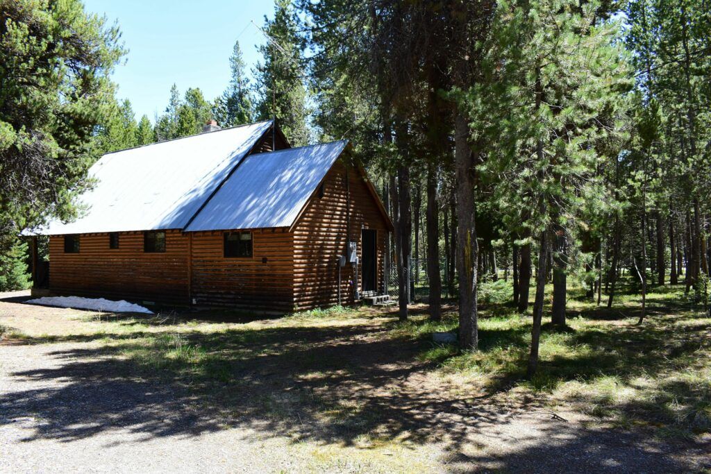 4 Moose Cabin