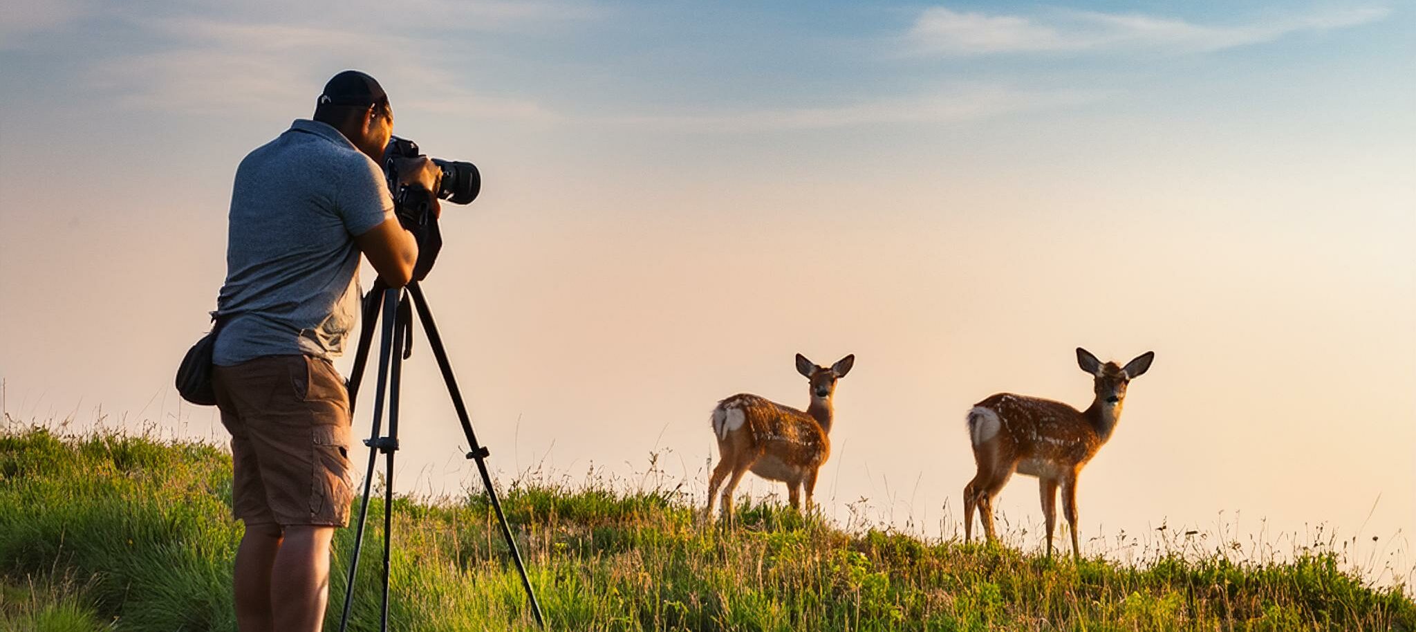 Wildlife Nature Photography Tips