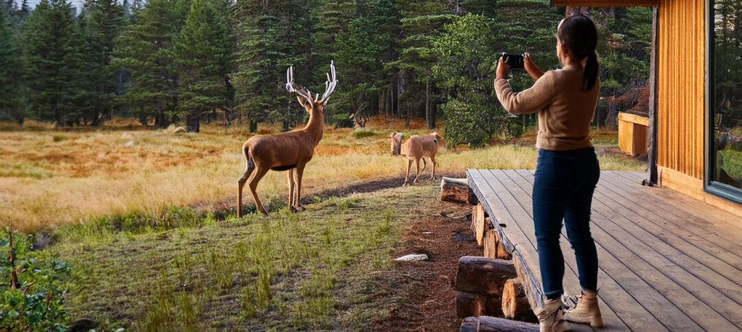 Woman-taking-a-picture-of-a-deer-from-her-cabins-porch