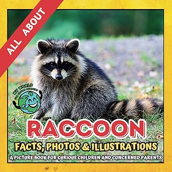 All about Raccoon Facts Photos and Illustrations